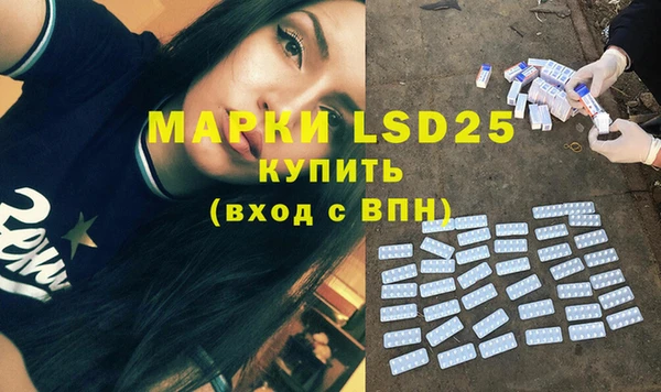 прущие грибы Абинск