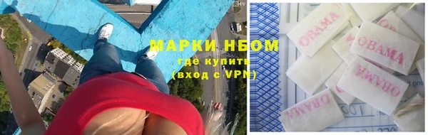 стаф Алексин