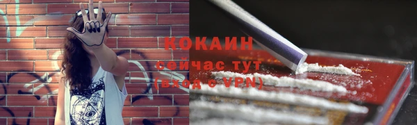 стаф Абаза