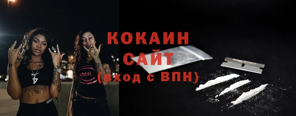 прущие грибы Абинск