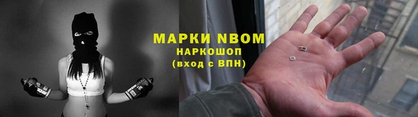 прущие грибы Абинск