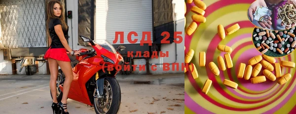 прущие грибы Абинск