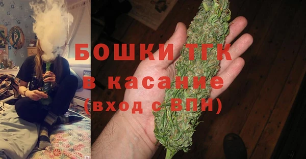 прущие грибы Абинск