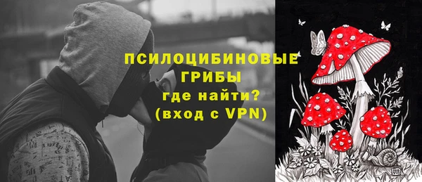 прущие грибы Абинск