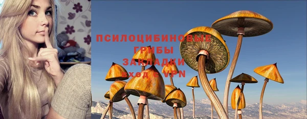 стаф Абаза
